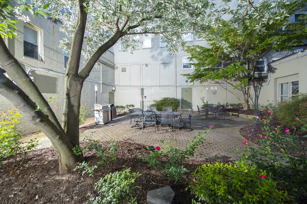 a courtyard with a tree and a table and chairs at Queen Anne Belvedere, Baltimore, 21201