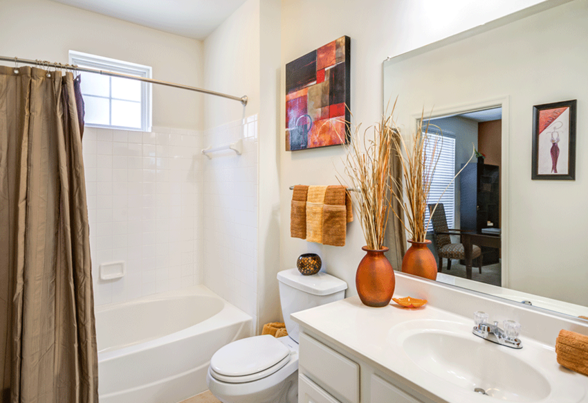 a bathroom with a shower toilet and sink and a mirror