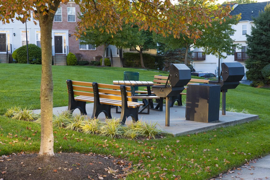 a picnic table in a park next to a tree at Townes at Village Center Apartments, Reisterstown, MD