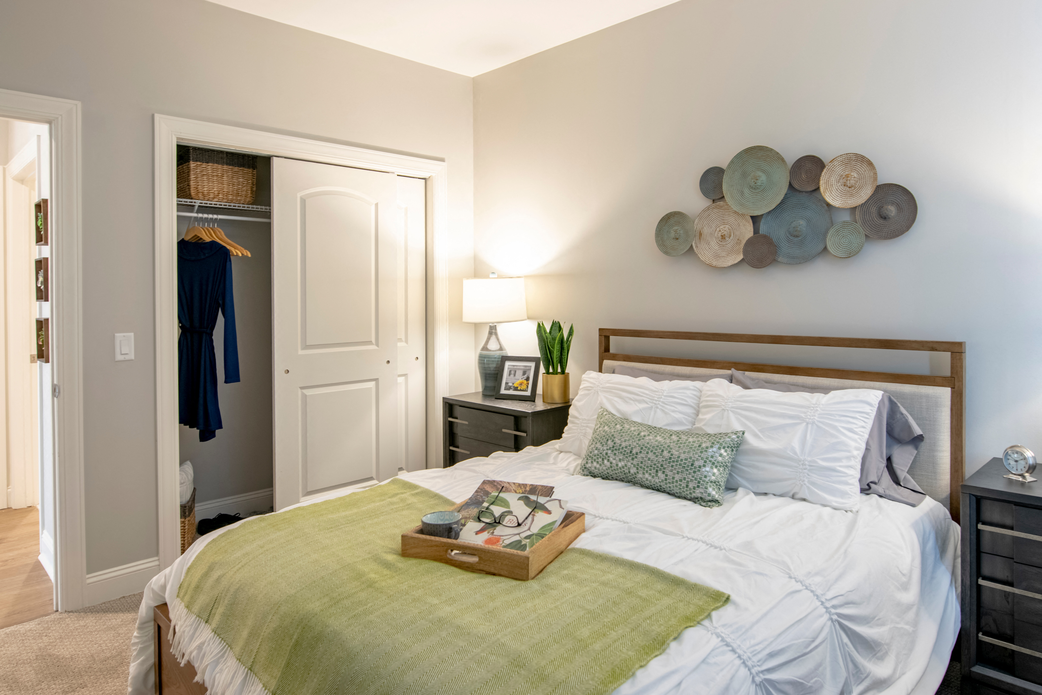 a bedroom with a bed and a closet with a closet door open