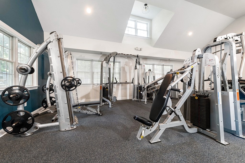 A gym with a variety of equipment including a leg press machine. at Spa Cove Apartments, Annapolis, 21403