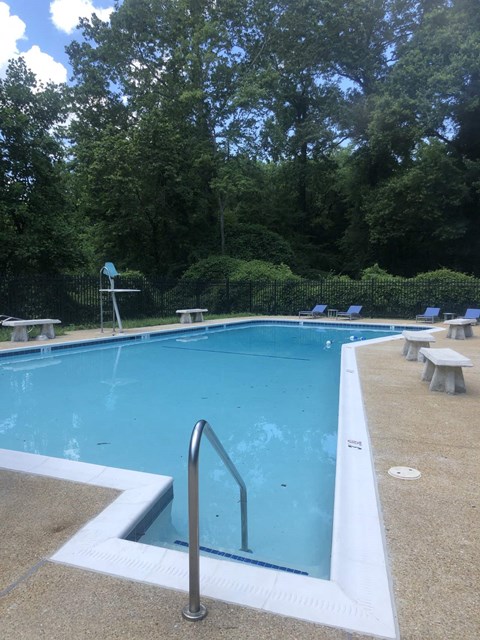 A swimming pool surrounded by trees and benches.