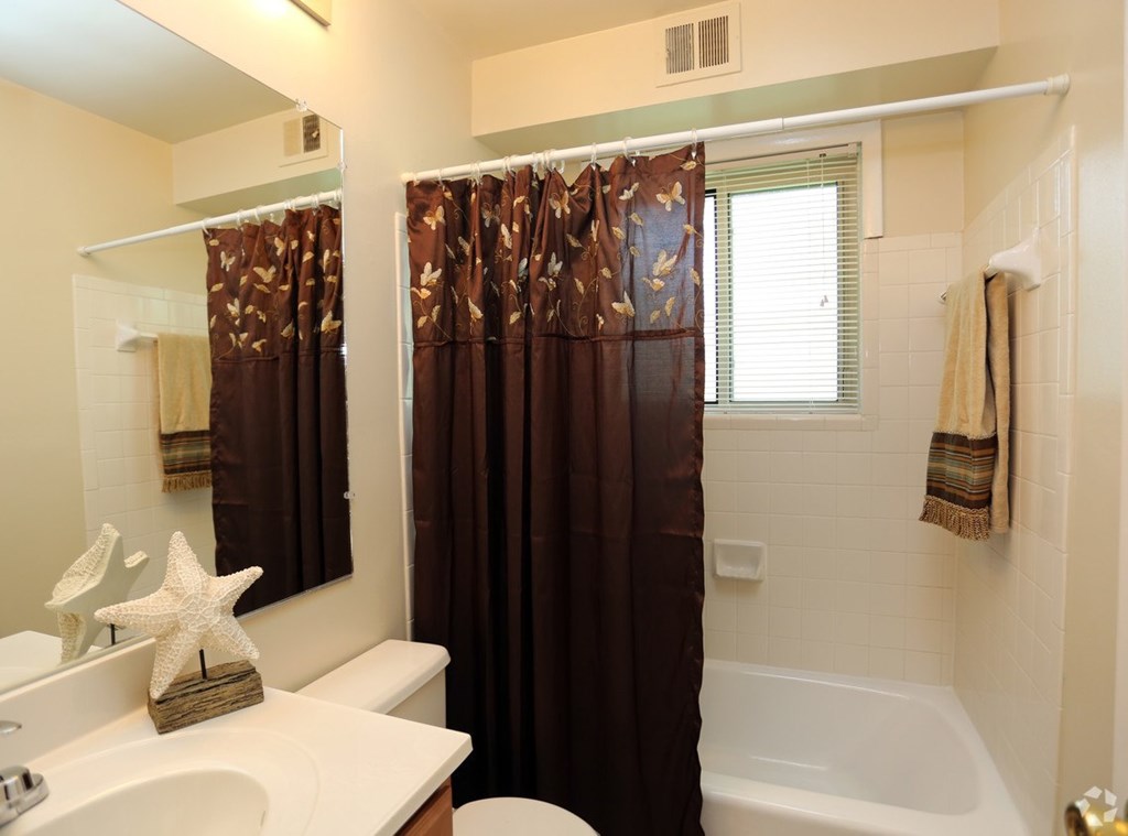 A white sink with a starfish on top of it. at Spa Cove Apartments, Annapolis, 21403