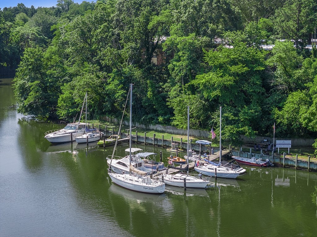 A marina filled with boats and trees in the background. at Spa Cove Apartments, Annapolis, 21403