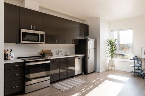 a kitchen with black cabinets and stainless steel appliances