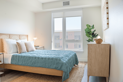 A bedroom with a bed, nightstand, and a plant.