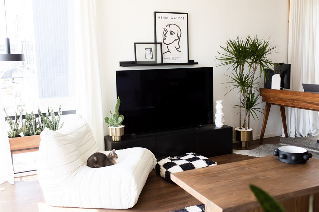 a cat sleeping on a bean bag in a living room