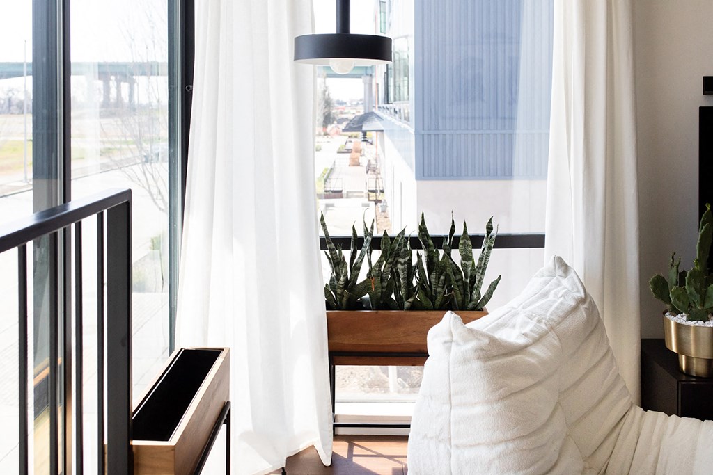 a living room with a couch and a potted plant