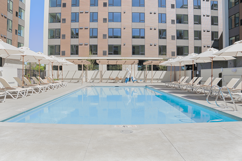 A large swimming pool surrounded by sun loungers and umbrellas.