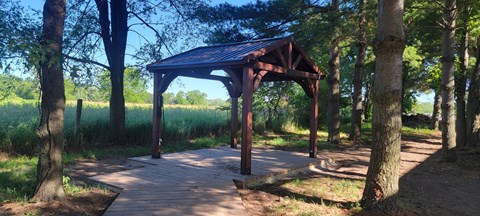 A wooden pavilion is situated in the middle of a wooded area.