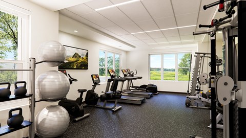 A well-equipped gym with a variety of exercise equipment.
