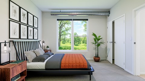 A bedroom with a bed, a potted plant, and pictures on the wall.