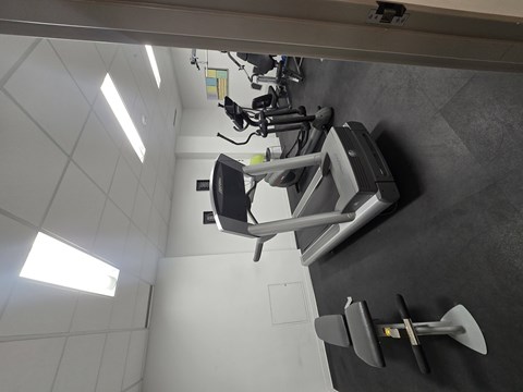 A gym with a treadmill and exercise equipment.