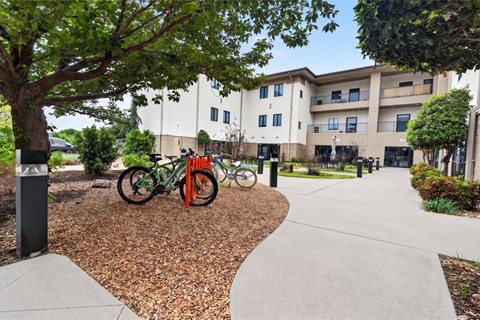 A bicycle is parked under a tree in front of a building.