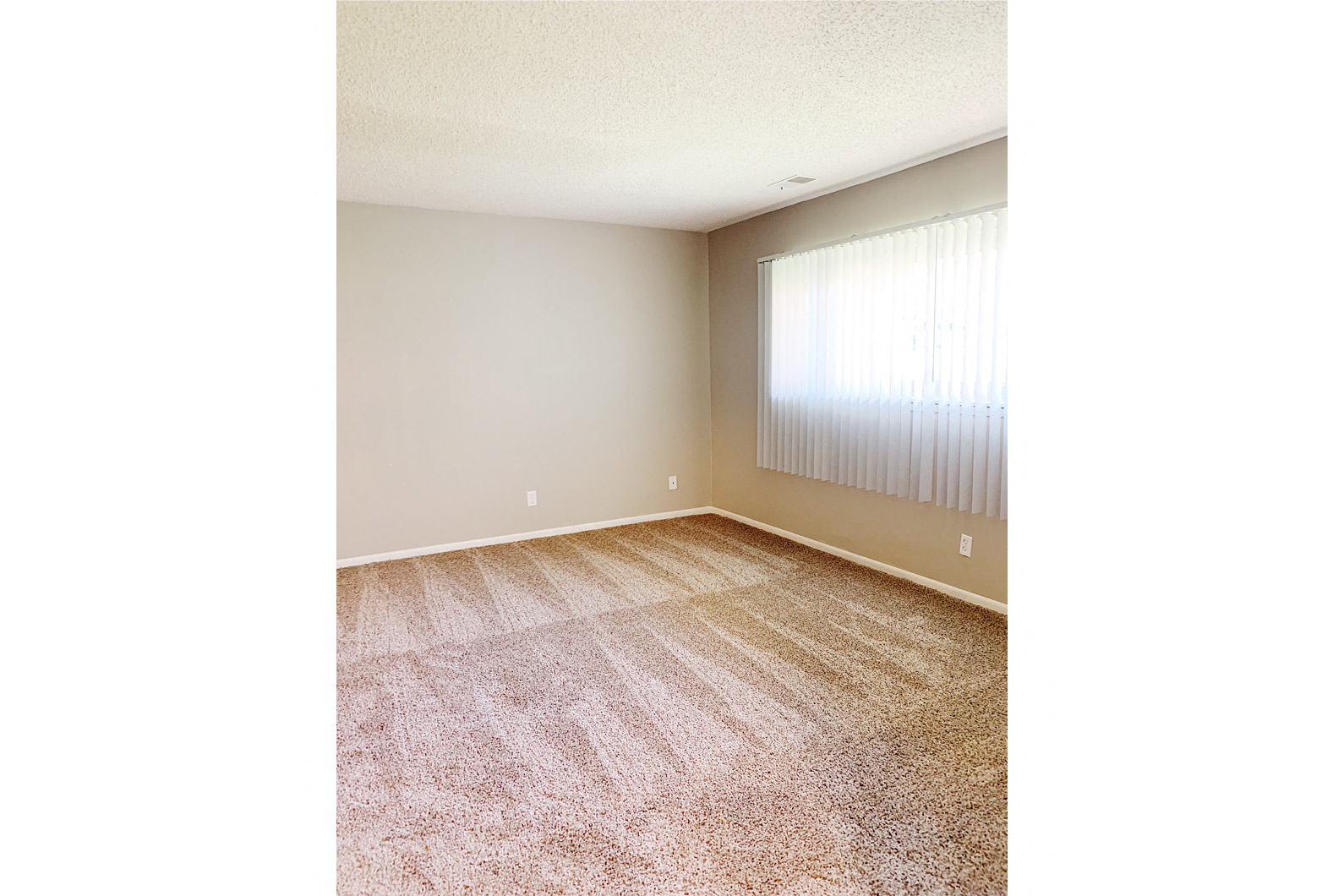 an empty living room with carpet and a window