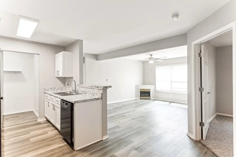 A kitchen with a dishwasher and a fridge.
