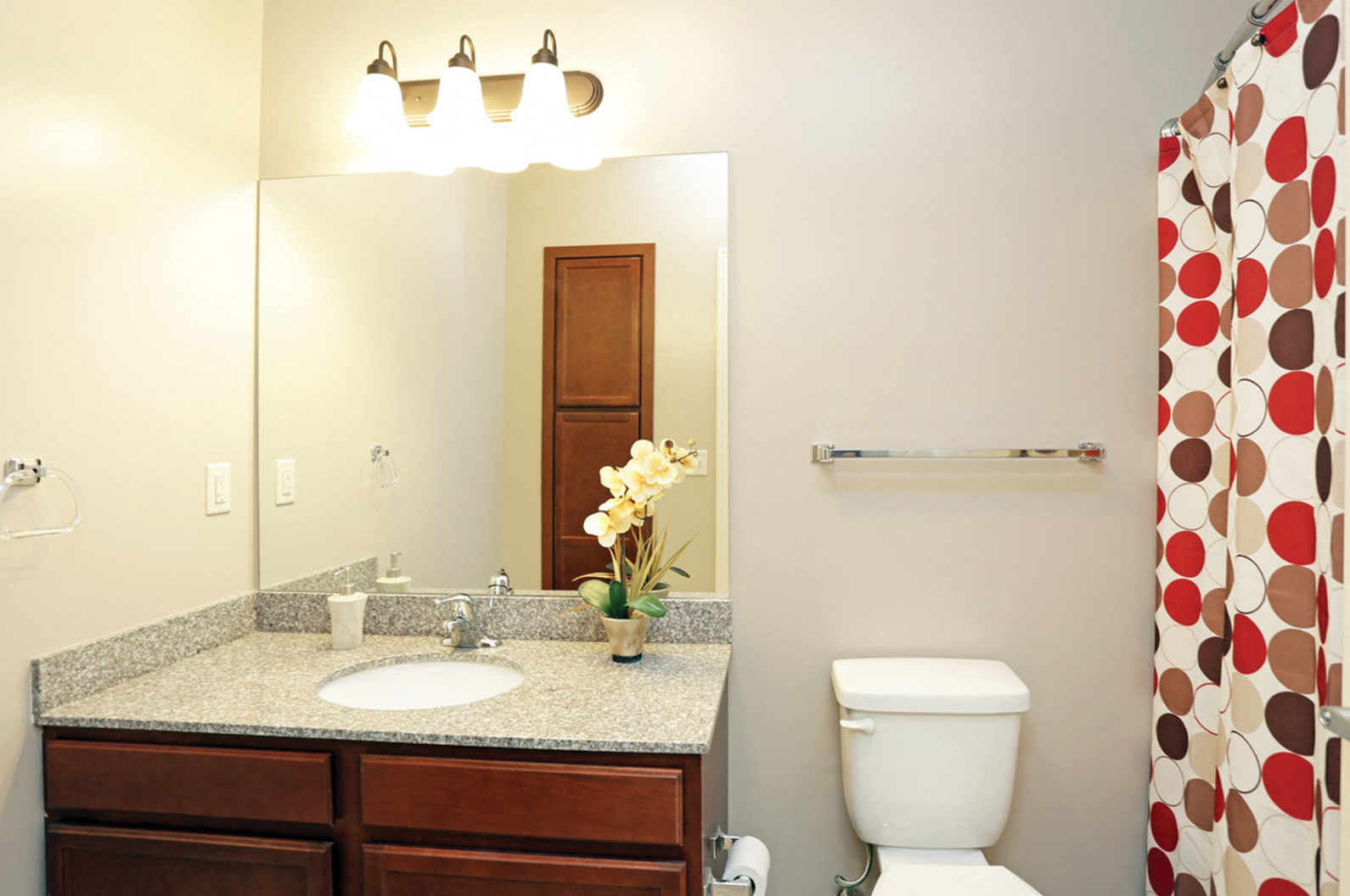 a bathroom with a sink and a mirror and a shower curtain