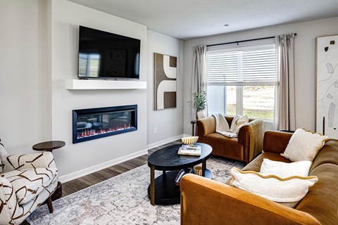 A living room with a fireplace and a television.