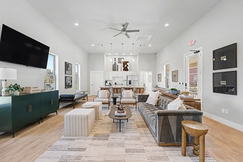 A living room with a grey couch and a green cabinet.