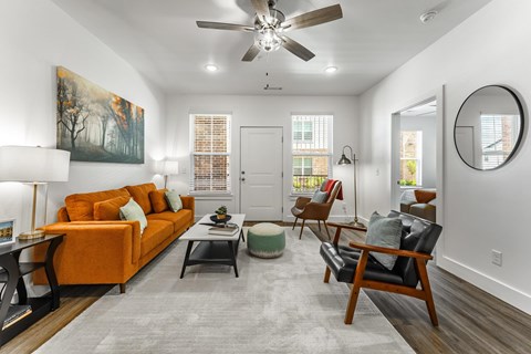 A living room with a brown sofa and a grey rug.