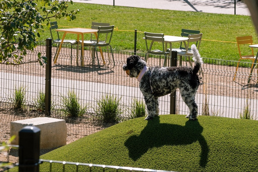 Live right next to the Gene Leahy Riverfront Redevelopment at The Greenhouse Apartments in Omaha, NE