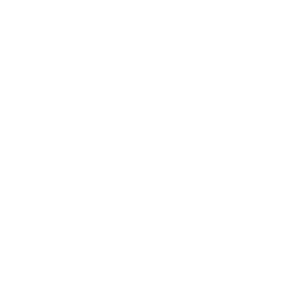Somerset logo