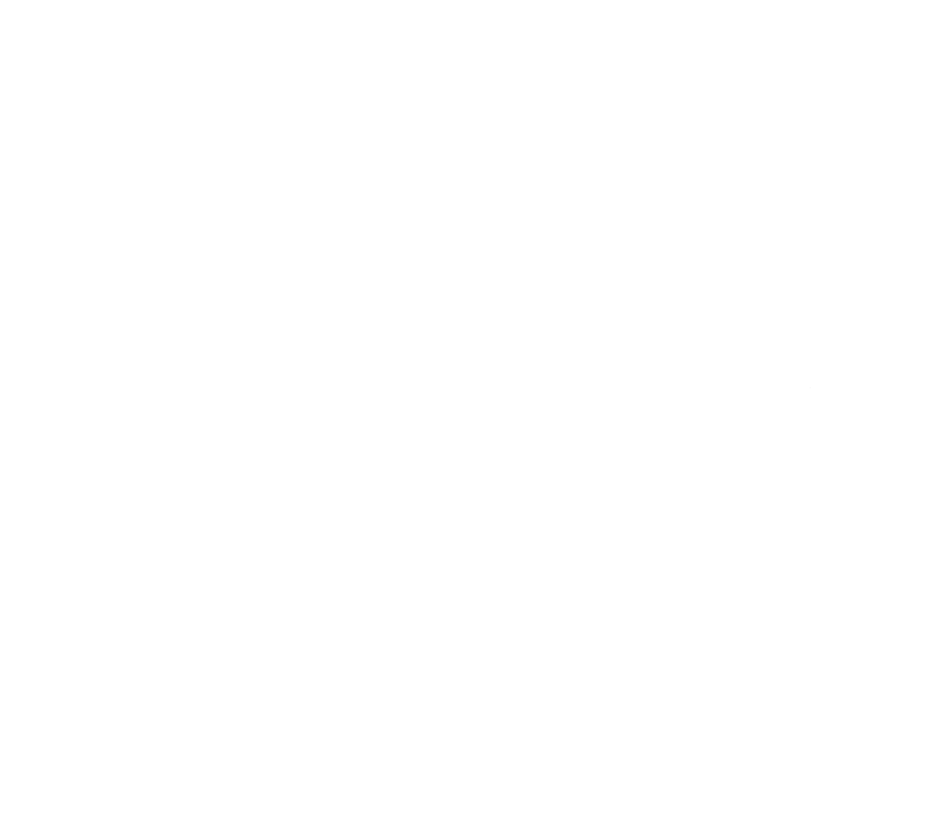 the trails at not the streams logo