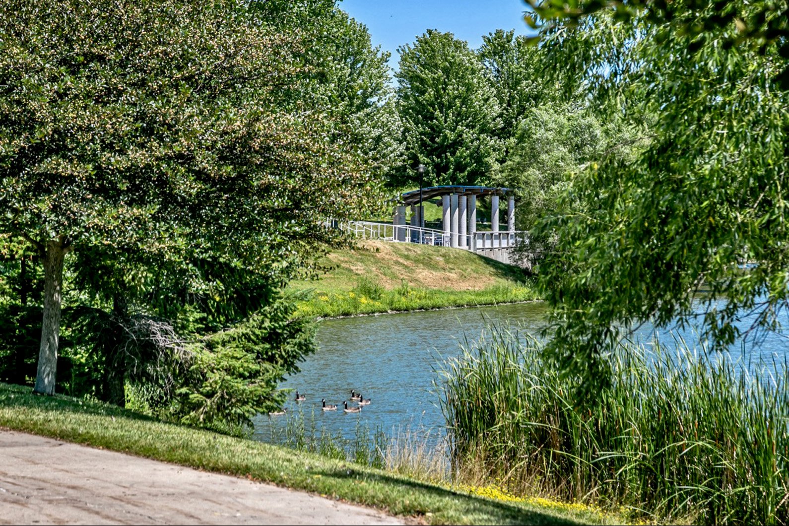 Lakeside Hills Apartments Lake View