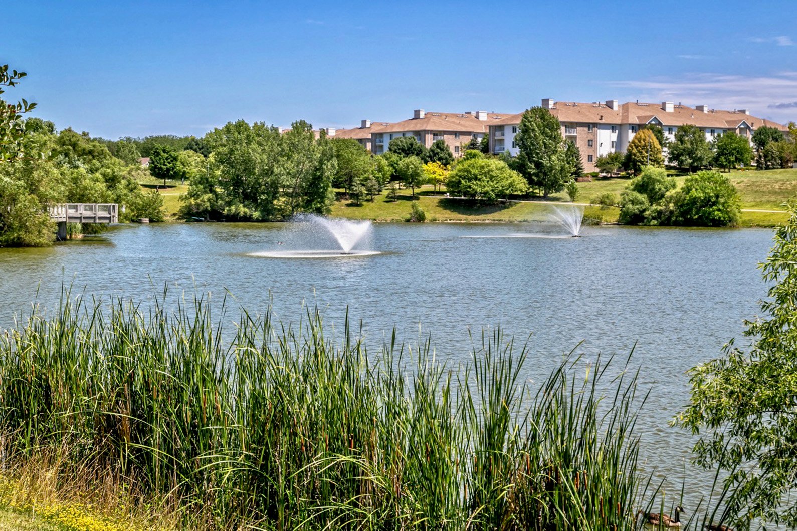 Lakeside Hills Apartments Lake view