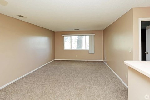 A room with a carpeted floor and a window with white curtains.