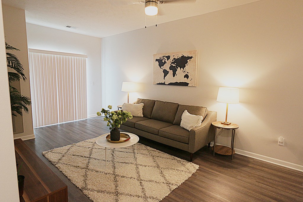 a living room with a couch and a rug