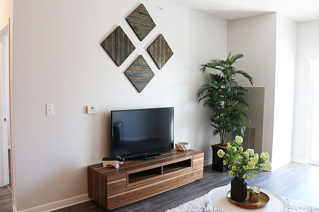 a living room with a television and a plant