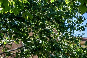 Property exterior at Maple View Apartments, Omaha, NE - Photo Gallery 3