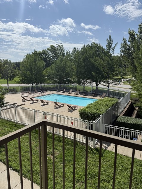 A pool surrounded by trees and a fence.