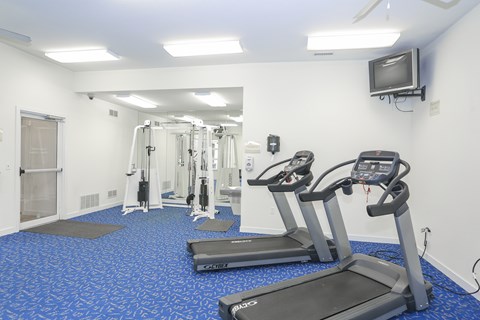 A gym with treadmills, weights, and a television.