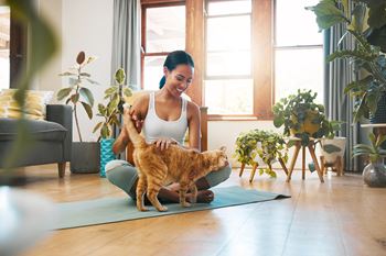 A woman is sitting on a yoga mat with her orange cat.