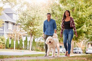 a man and woman walking their dog on a sidewalk