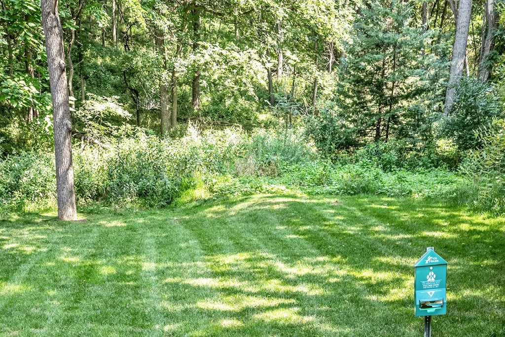 Spacious pet friendly outside area  at Deer Park Apartments in Council Bluffs, IA