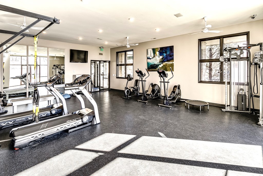 the gym is equipped with cardio equipment and weights