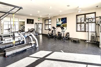 the gym is equipped with cardio equipment and weights