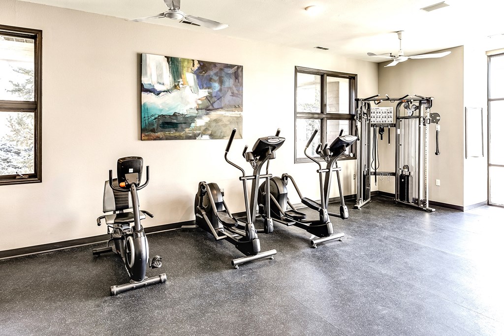 the exercise room at the monarch club has treadmills and other exercise equipment
