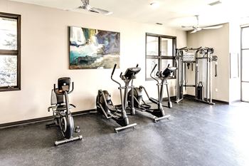 the exercise room at the monarch club has treadmills and other exercise equipment