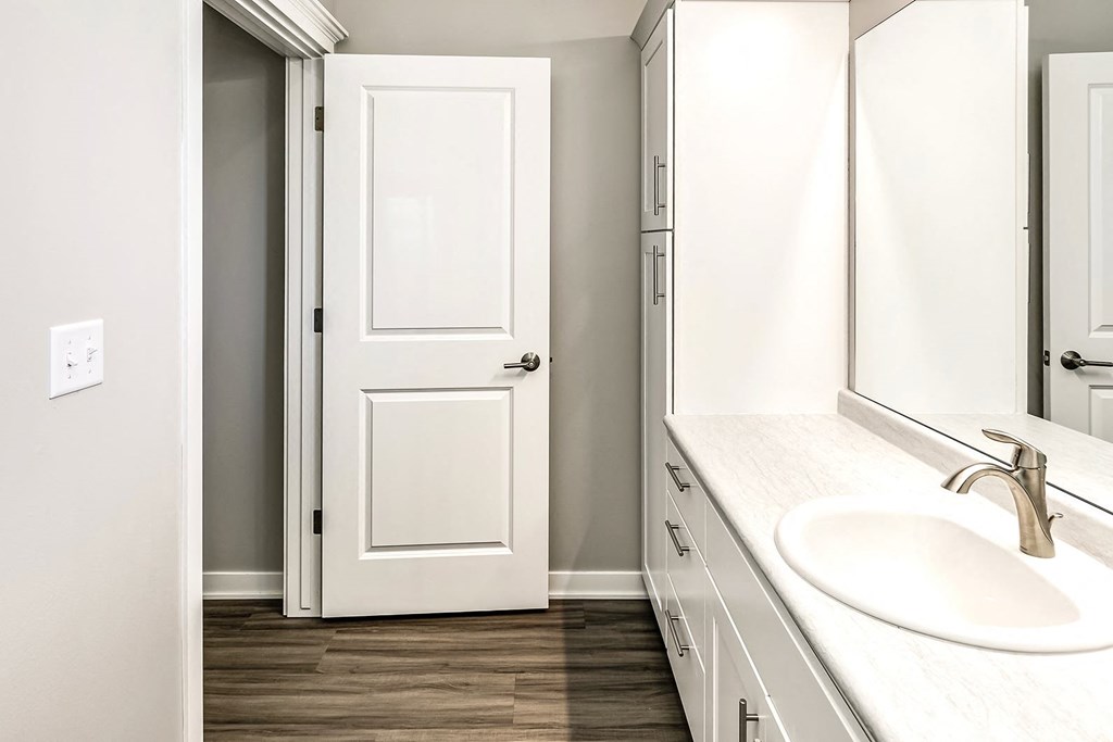a bathroom with a sink and a mirror