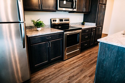 a kitchen with stainless steel appliances and black cabinets