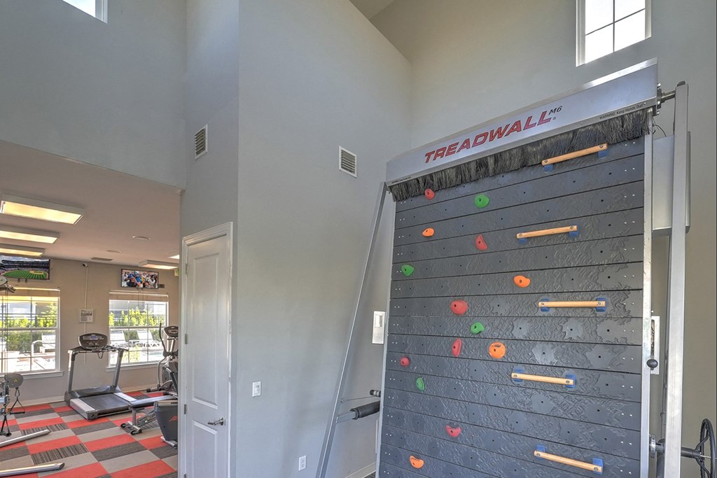a rock climbing wall in the fitness room