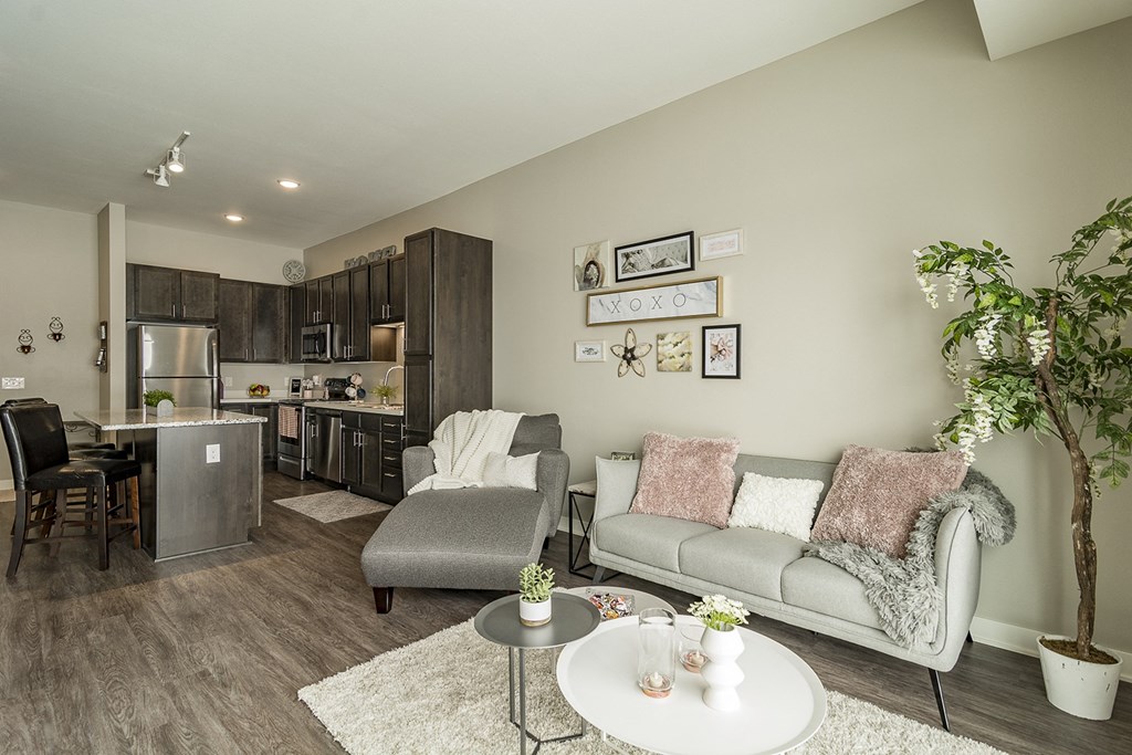 One and two bedroom hi-end apartment homes featuring Energy-Efficient Stainless Steel Appliances,  Granite Kitchen Island, dark cabinets, and much more at The Nexus at Gray's Landing in Downtown Des Moines, IA
