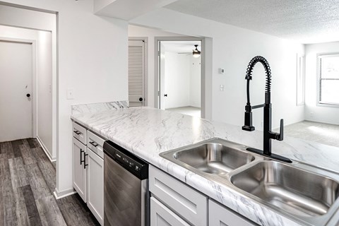 the preserve at ballantyne commons apartment kitchen with stainless steel sink and counter top