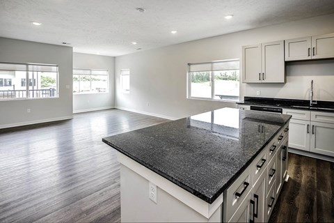 Spacious one and two-bedroom apartments featuring three interior schemes, granite countertops, stainless steel appliances, large kitchens, high-end lighting, vinyl plank flooring and much more at The Brink at Ridgeview in Plattsmouth, NE