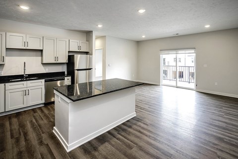 Spacious one and two-bedroom apartments featuring three interior schemes, granite countertops, stainless steel appliances, large kitchens, high-end lighting, vinyl plank flooring and much more at The Brink at Ridgeview in Plattsmouth, NE