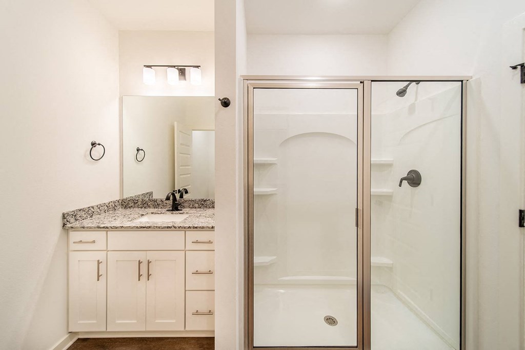Walk-In Shower at The Grove in Rogers, AR